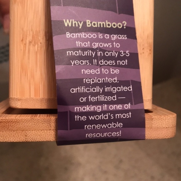 Totally Bamboo Double Dipper Salt & Storage boxes with spoons & Stand- NWT - Picture 3 of 4